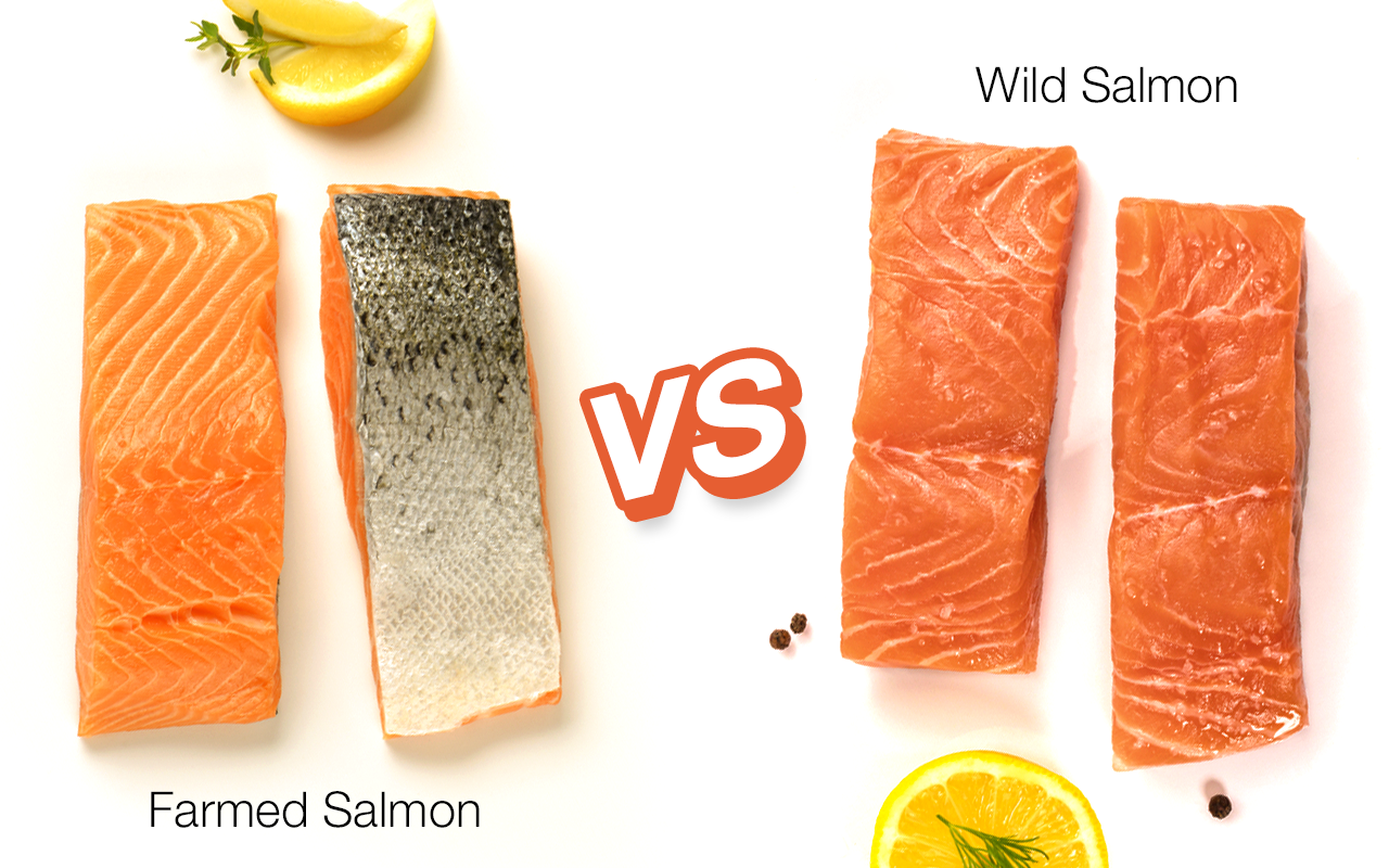 The good life - Wild Salmon vs Farmed Salmon: Which one is better?