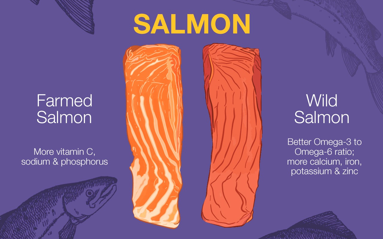 The Good Life Wild Salmon Vs Farmed Salmon Which One Is Better 0133